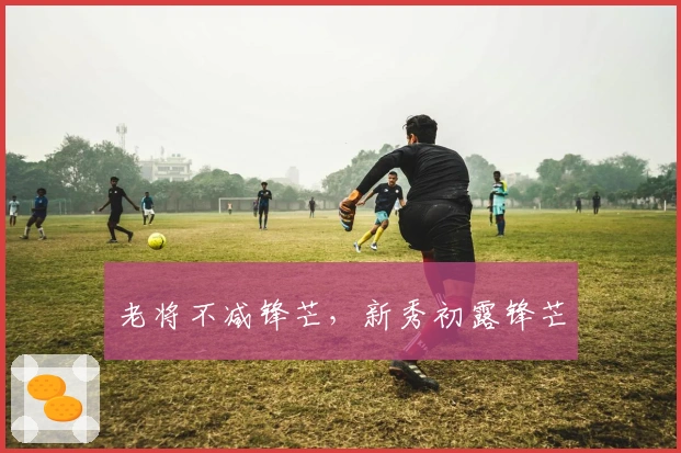 老将不减锋芒，新秀初露锋芒