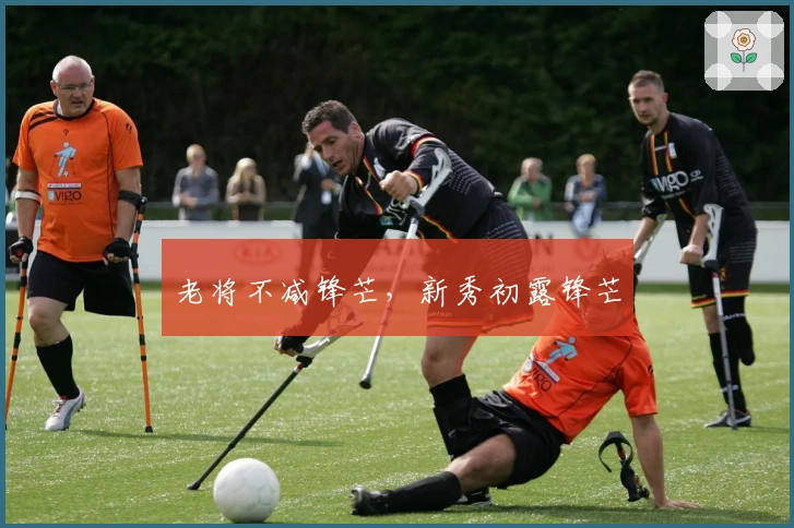 老将不减锋芒,新秀初露锋芒