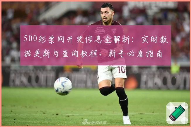 500彩票网开奖信息全解析：实时数据更新与查询教程，新手必看指南