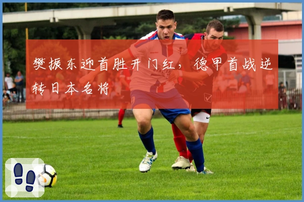 樊振东迎首胜开门红,德甲首战逆转日本名将