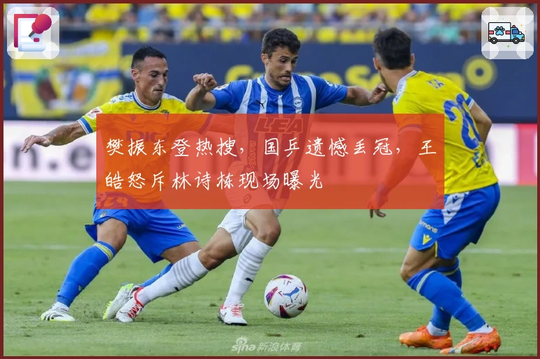 樊振东登热搜，国乒遗憾丢冠，王皓怒斥林诗栋现场曝光